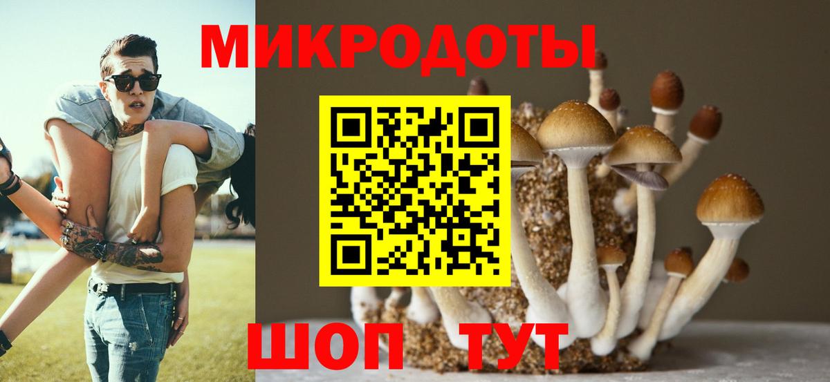 Конаково  Псилоцибиновые грибы MAGIC MUSHROOMS  Вход с VPN 